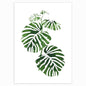 Scandinavian Style Tropical Plants Poster Green Leaves Decorative Picture Modern Wall Art Paintings for Living Room Home Decor